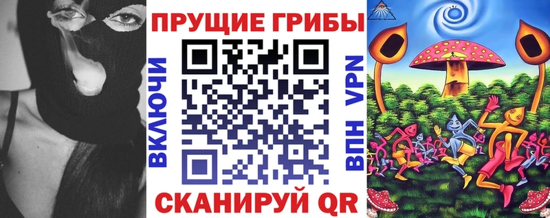 Галлюциногенные грибы ЛСД  Купить где  Сясьстрой 